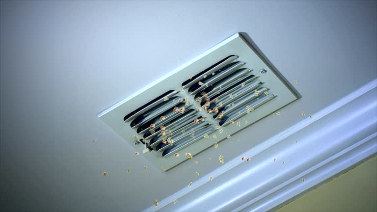 Best Best Air Duct Cleaning Company  in Level Park Oak Park, MI