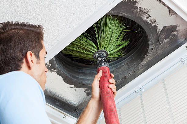 Air Duct Mold Removal in Level Park Oak Park, MI